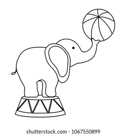 Circus animals design