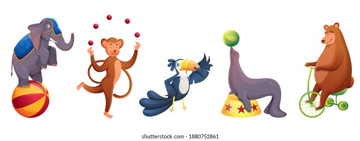 Circus Animals Doing Performance In Various Types On White Background.