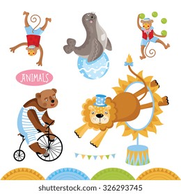 Circus animals perform tricks isolated on white background. Funny circus animal vector characters.