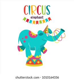 Circus artist. Circus animals. A trained circus elephant juggler. Elephant juggling hoops standing on a pedestal. Vector illustration. Isolated on a white background.