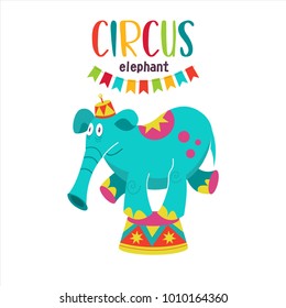 Circus artist. Circus animals. A trained circus elephant. The elephant stands on a pedestal. Vector illustration. Isolated on a white background.