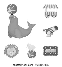Circus and attributes monochrome icons in set collection for design. Circus Art vector symbol stock web illustration.