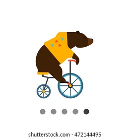 Circus bear
