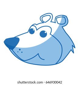 circus bear animal funny entertainment