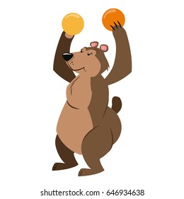 circus bear animal show balls carnival