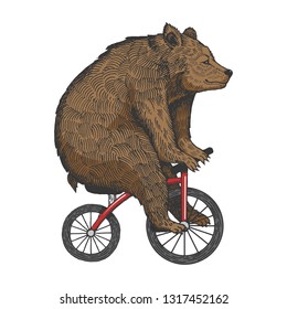 Circus bear on bicycle sketch engraving vector illustration. Scratch board style imitation. Hand drawn image.