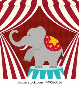 Circus and carnival concept represented by elephant icon. Colorfull illustration. 