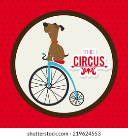 Circus design over red background, vector illustration