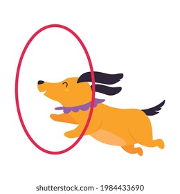 Circus Dog Animal Jumping Through Hanging Hula Hoop Performing Trick Vector Illustration