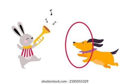 Circus Dog and Hare Animal Jumping Through Hula Hoop and Playing Trumpet Performing Trick Vector Illustration Set