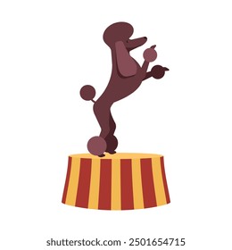 Perro de circo de pie en el pedestal. Lindo caniche marrón en el escenario en la actuación de carnaval. Icono de Vector aislado de dibujos animados.