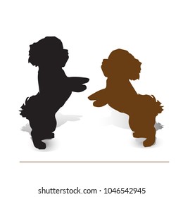 Circus dog. Two puppies poodle on two legs, silhouette on white background, vector