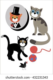 Circus elegant cats in bright clothes