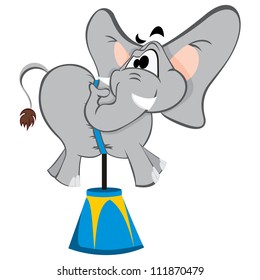 Circus elephant
