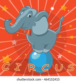 circus elephant