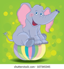 Circus elephant as acrobat