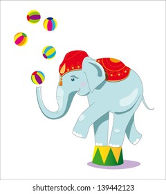 Circus elephant as acrobat, card concept, vector illustration, white background