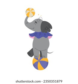 Circus Elephant Animal Balancing on Ball Vector Illustration