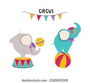 Circus Elephant Animal with Ball Performing Trick Vector Illustration Set