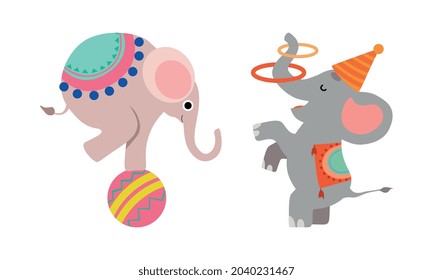 Circus Elephant Animal Performing Trick Juggling with Rings and Balancing on Ball Vector Set