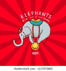 Circus elephant badge. Performance on the ball. Vintage Carnival logos or emblems. Label for the festival banner and show. retro cute animal. engraved hand drawn sketch.