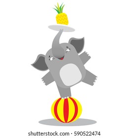 Circus elephant balancing on a striped ball with the pineapple on the tray. Circus concept. Flat cartoon vector illustration