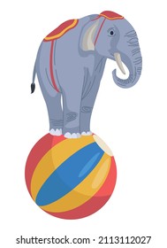 circus elephant in balloon character