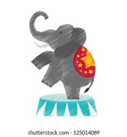 Circus elephant cartoon icon vector illustration graphic design