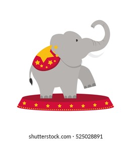 Circus elephant cartoon icon vector illustration graphic design