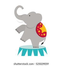 Circus elephant cartoon icon vector illustration graphic design