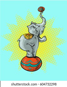 Circus elephant cartoon icon vector illustration graphic design