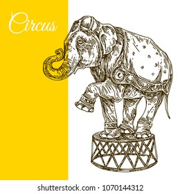 Circus Elephant. Engraving Style. Vector Illustration.