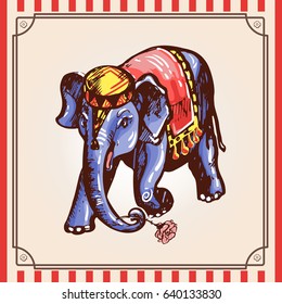 Circus elephant with a flower makes a curtsy. Colorful vector vintage illustration. Image in the style of color engraving on a stylized circus background.
