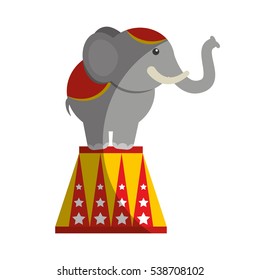 circus elephant isolated icon vector illustration design