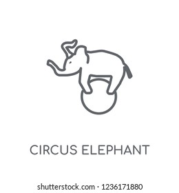 Circus Elephant linear icon. Modern outline Circus Elephant logo concept on white background from Circus collection. Suitable for use on web apps, mobile apps and print media.