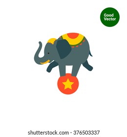 Circus elephant on ball