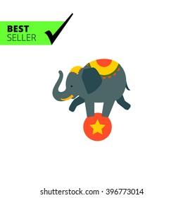 Circus elephant on ball