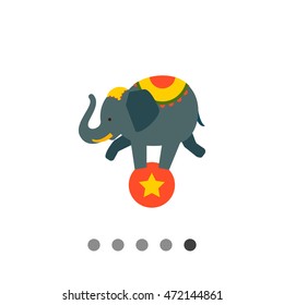 Circus elephant on ball