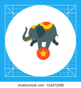 Circus elephant on ball