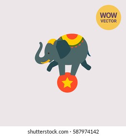 Circus elephant on ball