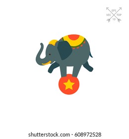 Circus elephant on ball