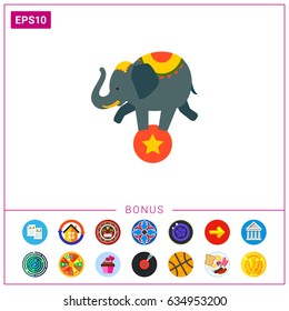 Circus elephant on ball