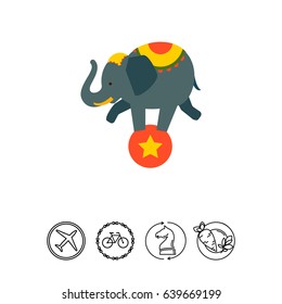Circus elephant on ball