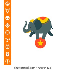 Circus elephant on ball