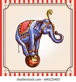 Circus elephant on the ball. Colorful vector vintage illustration. Image in the style of color engraving on a stylized circus background.