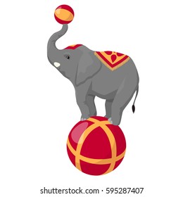 Circus Elephant On Ball Isolated On White