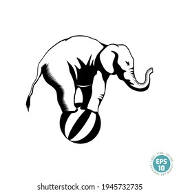 elefante de circo sobre vector de bola