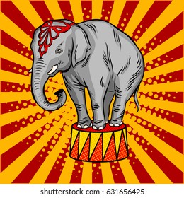 Circus Elephant On Pedestal Pop Art Retro Vector Illustration. Comic Book Style Imitation.