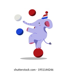 circus elephant performance, circus show.