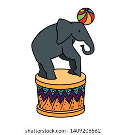 circus elephant playing with balloon in stage